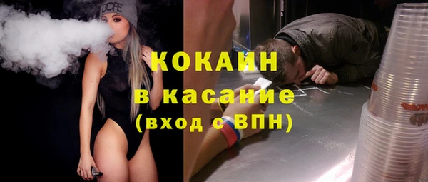 стаф Белокуриха