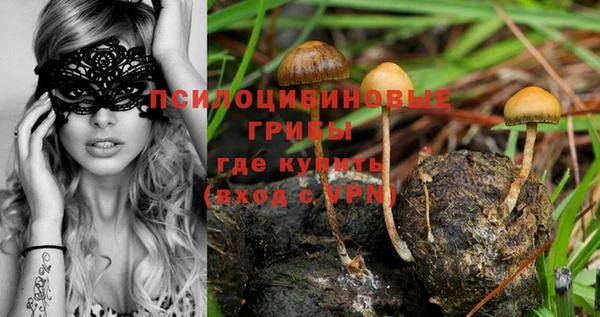 соль курить ск Беломорск