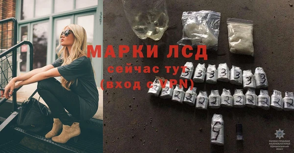 стаф Белокуриха