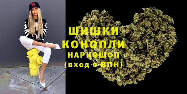 стаф Белокуриха
