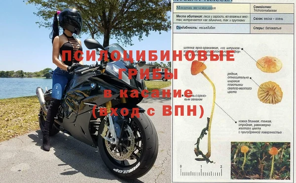 бошки Белоозёрский