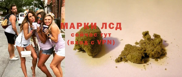 стаф Белокуриха