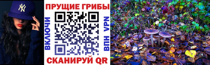 Галлюциногенные грибы прущие грибы Купить закладки Верея