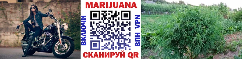 Канабис сатива  Купить закладки  Верея 